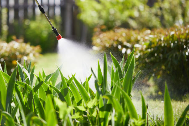 Tamper-Resistant Bait Stations for Rodents in Salix