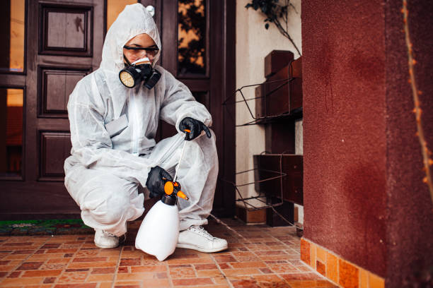Attic and Crawl Space Rodent Treatment in Salix